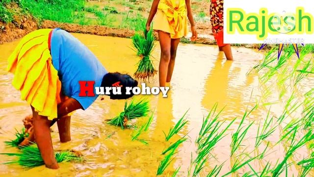 BASMATI HURU New Santhali videoRajesh Hembram Vlogs