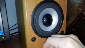 Активные колонки dialog W-204