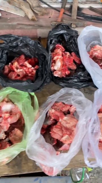 Ротвейлер Гера ждет своей доли! 😍 смотреть онлайн