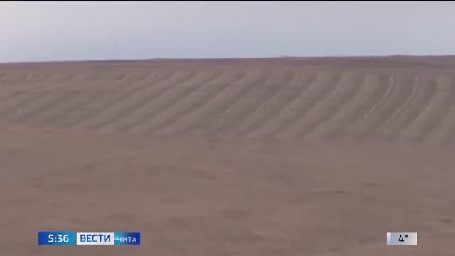 Россельхознадзор в семи районах Забайкалья выявил заброшенные сельхозугодья