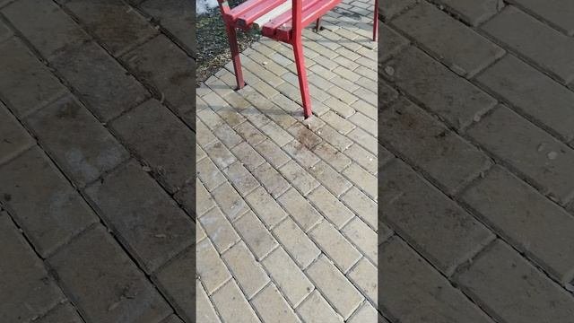 песенка