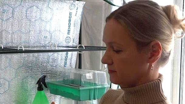 Мой парник для рассады дома💥 Только одни плюсы!!! Подготовка к дачному сезону. смотреть онлайн