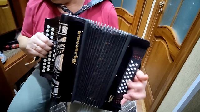 Урок Одинокая ветка сирени на гармони Разбор 3 аккорда 300 песен в медленном темпе от мастера гармо смотреть онлайн