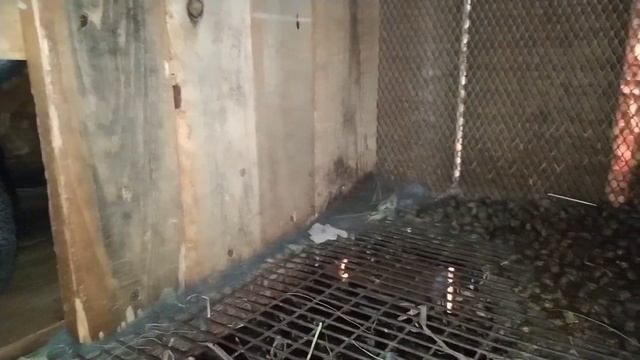 Обзор нашего подсобного хозяйства.