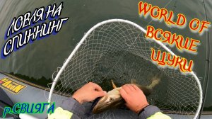 Ловля на ДЖИГ. Зачем же брать всех ЖАДНОСТЬ это ПЛОХО.