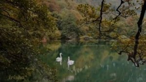 Сергей Грищук - Осень..