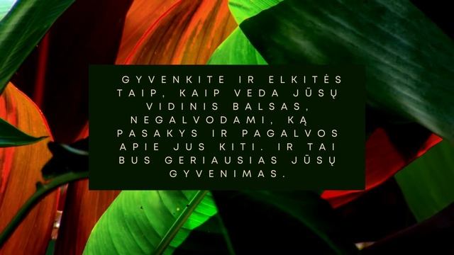 Visatos Žinutė Tau: Aš gyvenu taip, kaip veda mano vidinis balsas! смотреть онлайн