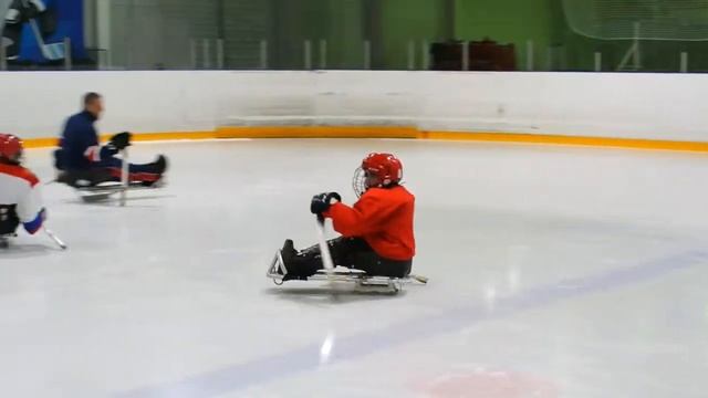 Snegiri 0209 1 смотреть онлайн