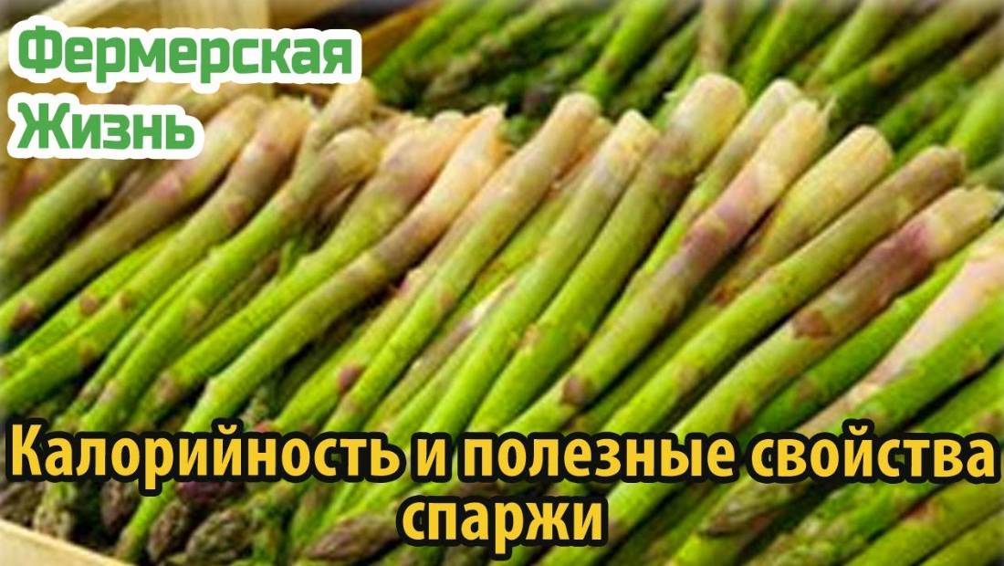 Калорийность и полезные свойства спаржи