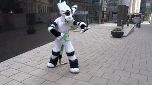 Toxin - Cheap Thrills - Fursuit Dance video!
