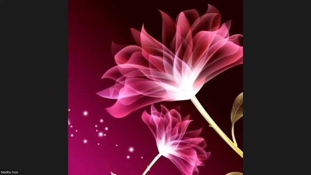 17 May 2022 Light & Soul English only  Aanapansati Meditation through LoveLightStarShine channel.