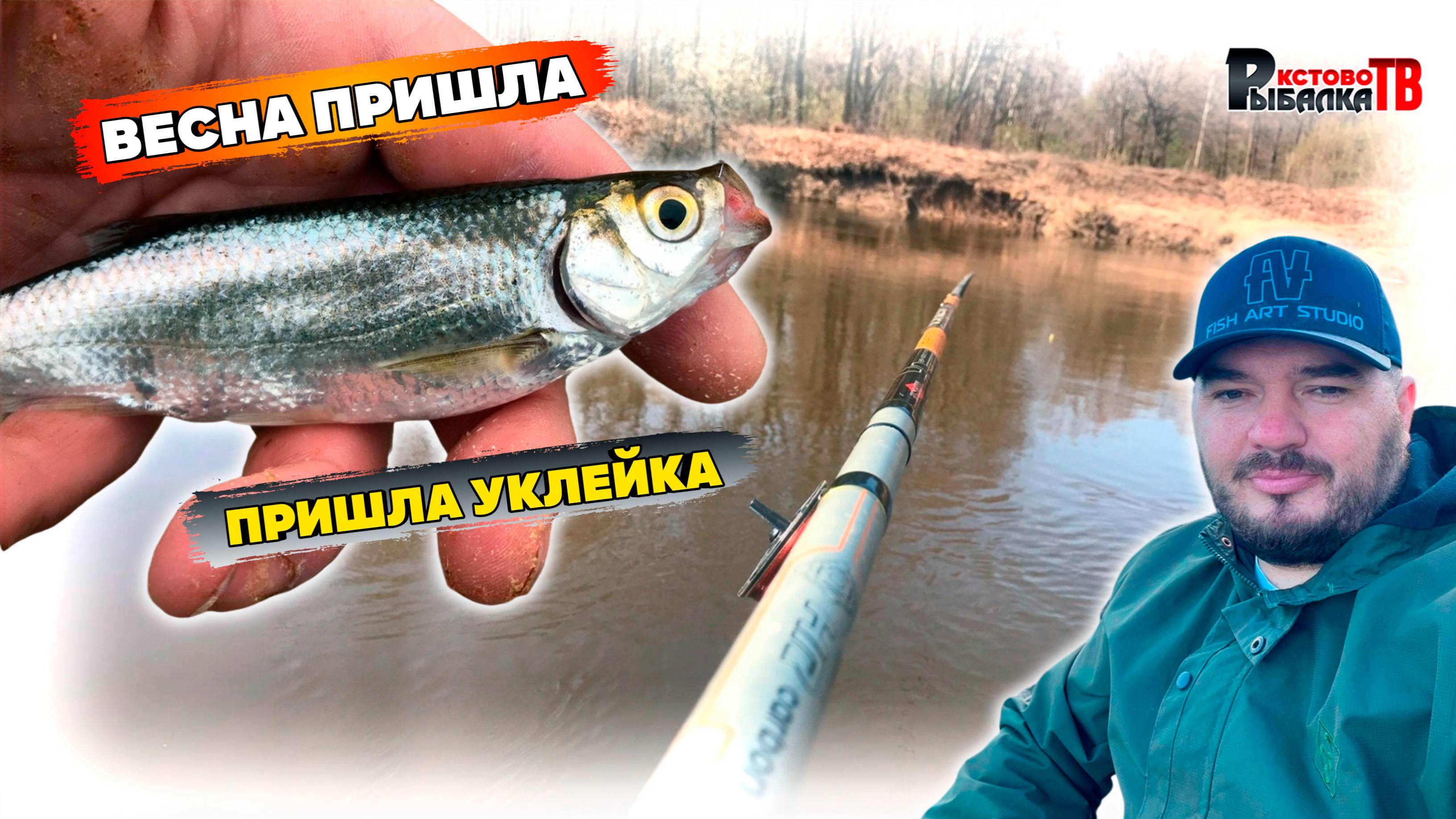 Пришлось менять снасть чтоб поймать.Ловля весенней уклейки на поплавок.