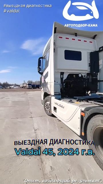 Выездная диагностика седельного тягача Valdai 45, 2024 г.в.🔥 #valdai #выезднаядиагностика