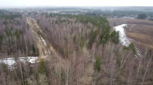 Крайний участок с соснами 10 соток. д.Савочкино. 20 мин от СПб