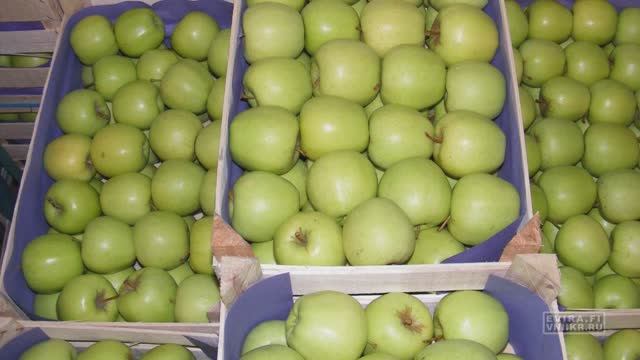 Упаковочные древесные материалы - Фильм