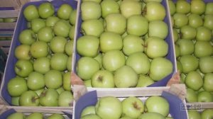 Упаковочные древесные материалы - Фильм