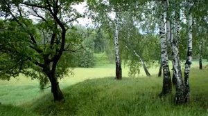 Сергей Юрченко - Пограничная Песня На День Пограничника