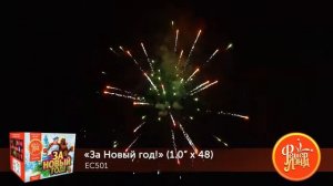 Фейерверк За новый год! (1,0_х 48 залпов) EC501