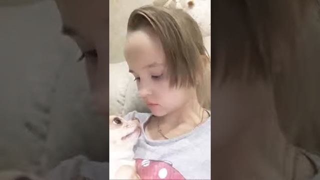 Привяу смотреть онлайн