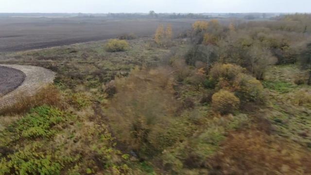 Красное 7,517 ч5 от 27.10. Каналы: О-208. смотреть онлайн