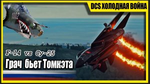 Грач уничтожает кота - f-14 vs su25! DCS World