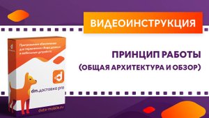 DM.Доставка Pro. Принцип работы: общая архитектура и обзор