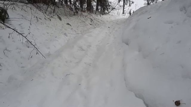 Лыжи ШАТУН со свиной щетиной. тест в горку.