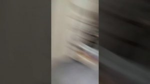 официальная песня вентилятор