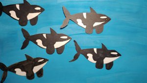 Несколько фактов из жизни китообразных. Мультфильм в технике бумажная перекладка.