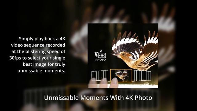 Panasonic LUMIX DMC-FZ2500 - Features and Specification смотреть онлайн