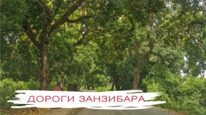 Дороги Занзибара