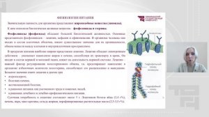 Основные пищевые вещества и их роль в питании человека Часть 2