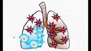 ВИДЕО для банеров