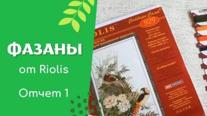 Вышивка крестом: ФАЗАНЫ. Отчет 1 - почти экватор