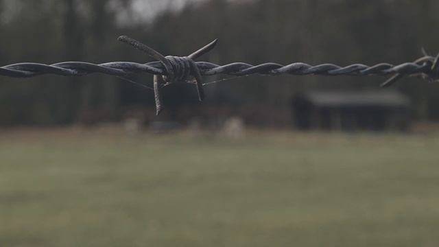 Testing my Blackmagic Pocket Cinema Camera + First time grading in DaVinci Resolve смотреть онлайн