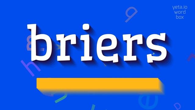 BRIERS - HOW TO SAY BRIERS? #briers смотреть онлайн
