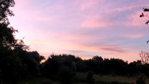 Завершение летнего дня , птицы поют и солнце уходит в закат Полтавская область. Ukraine timelapse