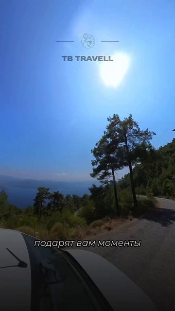 24 августа 2024 г. смотреть онлайн