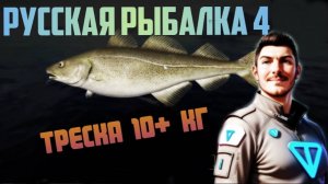 Русская Рыбалка 4. Треска 10+ кг. Норвежка
