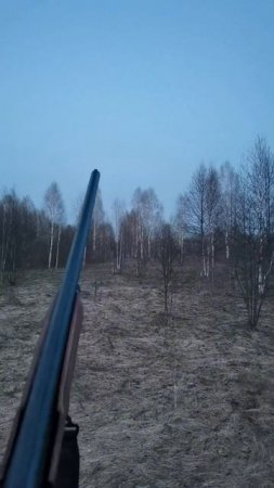 Весенняя охота.