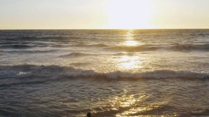 6942711-hd_1920_1080_25fps