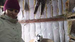 Обзор кроличьего хозяйства, новый житель, которому так и не придумали имя!