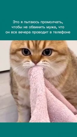 Как фаббинг разрушает близость и что с этим делать. Смотри Описание.