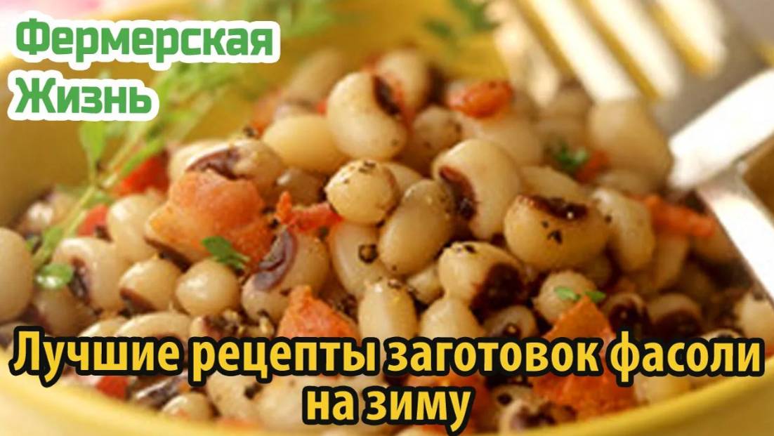 Лучшие рецепты заготовок фасоли на зиму