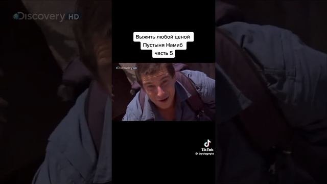 Выжить любой ценой