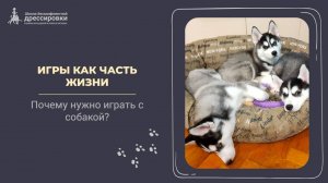 Игра , как часть жизни