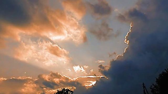 разговор с собакой.avi смотреть онлайн