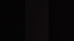 музыка могу включить любую