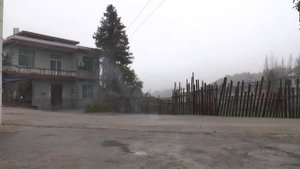 TR0203 3  Мертвая тишина