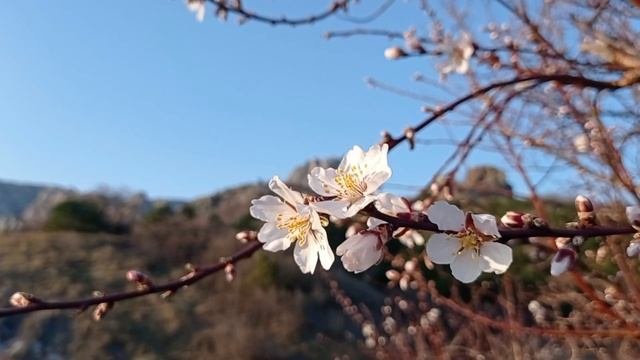 Крым .Оползневое -Голубой залив 3 марта 2024 г.